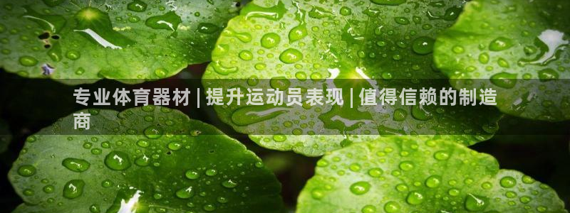 星欧娱乐和嫲薇他的区别是什么：专业体育器材 | 提升