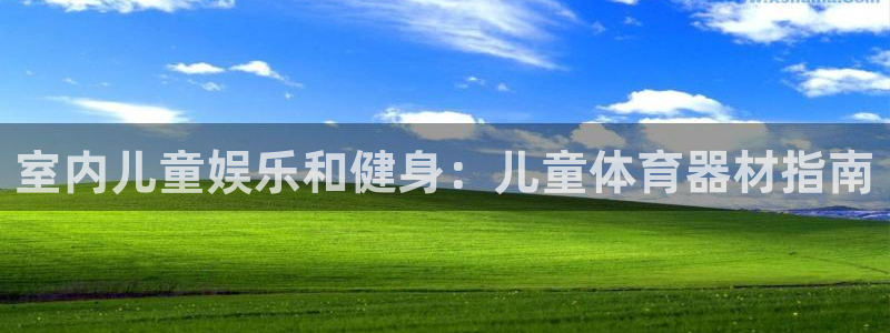 星欧娱乐官网下载安卓：室内儿童娱乐和健身：儿童体育器