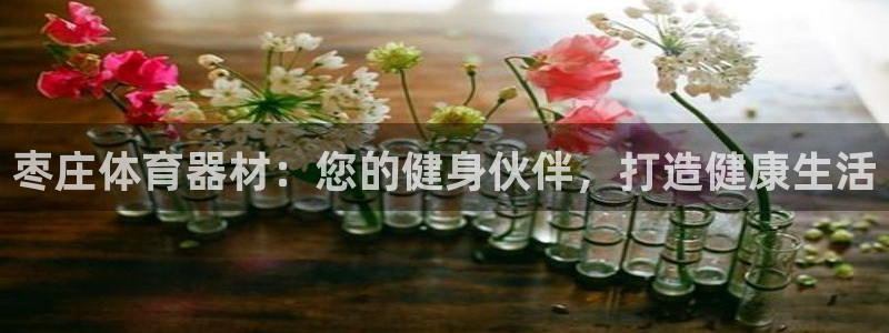 星欧娱乐测速：枣庄体育器材：您的健身伙伴，打造健康生